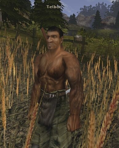 Soubor:Telbor.jpg
