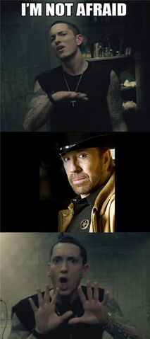 File:I'm Not Afraid.jpeg