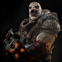Locust Boomer