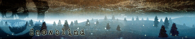 File:SnowBanner.jpg