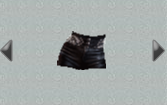 Shorts.png