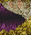 Thumbnail for version as of 03:59, November 17, 2011