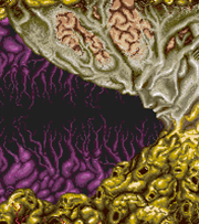 File:Bacterion.png