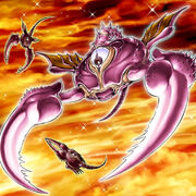 OptionHunterYugioh