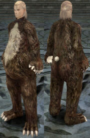 ElementM BearBrown