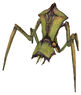 Antlion standard skin 1