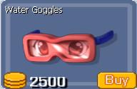 Water Goggles