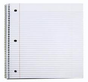 Novelgee's notbooke