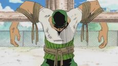 Zoro tied up