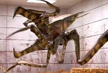 STBug