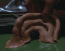 FerengiEar