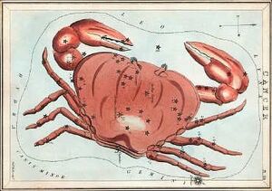 Cancerurania