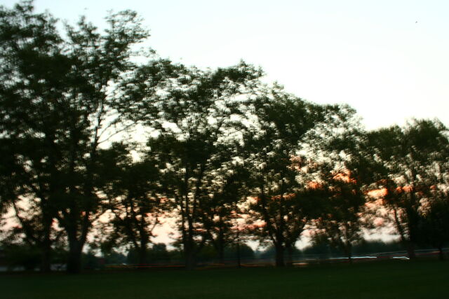 File:IMG 2563.jpg