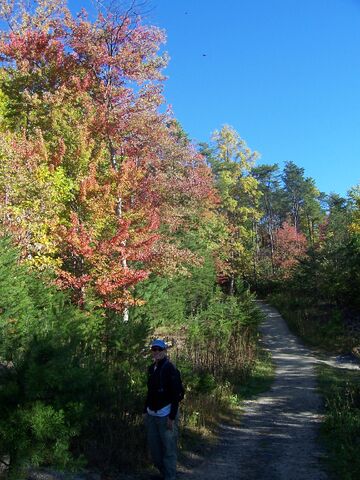 File:Stone mt hike.jpg