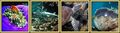 Thumbnail for version as of 17:03, October 15, 2009