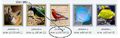 Thumbnail for version as of 11:01, December 7, 2009