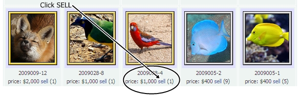 File:Archived sell.jpg