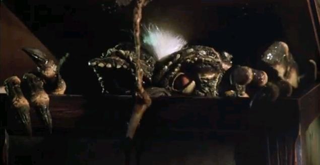File:Thats Not Gizmo.JPG