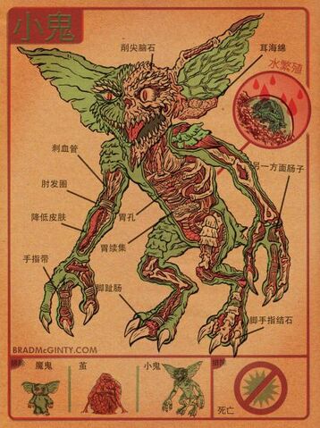 File:Gremlin anatomy.jpg