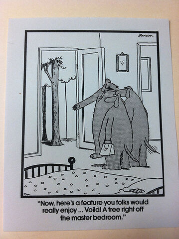 File:Far Side Pic.jpg