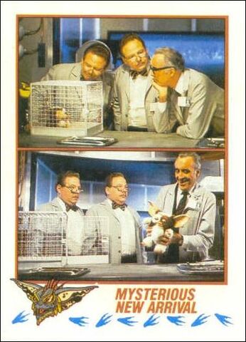 File:Topps Mysterious New Arrival.jpg
