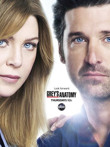 Season-9-hd-poster-greys-anatomy-37540238-2353-3140