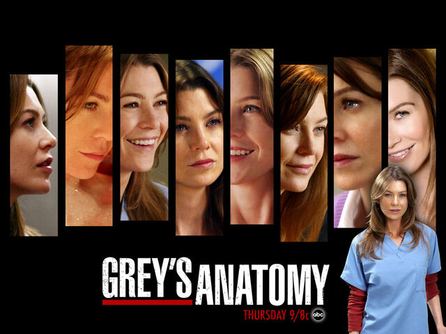 Fichier:Greys-anatomy-20.jpg