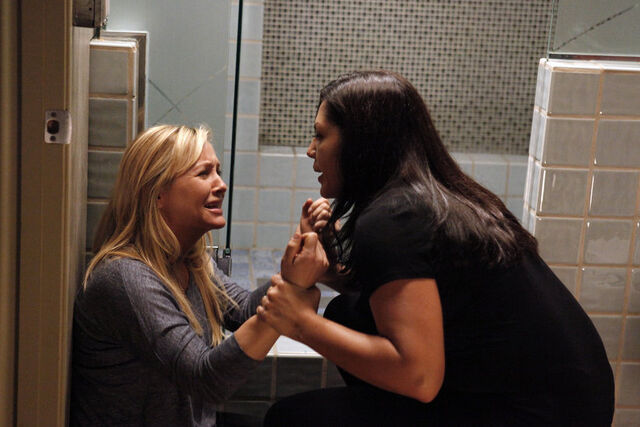 Archivo:9x03 Love the One You're With-Arizona-Callie.jpg