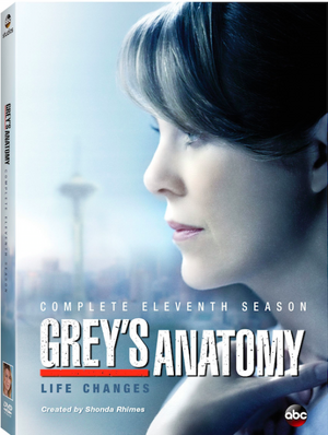 GreysAnatomyT11DVD.png