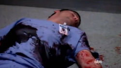 AlexKarev.jpg