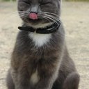 Smokey