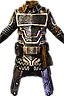 Praetorian Chestguard Icon