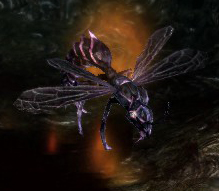 Ulraprax