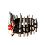 Crown of Command Icon