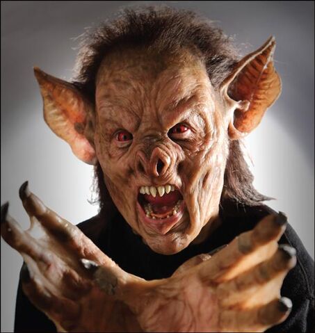 Archivo:Murcielago Grimm.jpg
