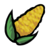 Maize