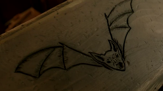 File:Murciélago Matraca-box.png