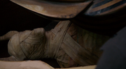 315-Mummy.png