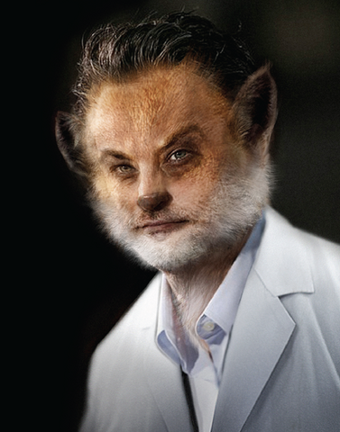 Archivo:Fuchsbau .png