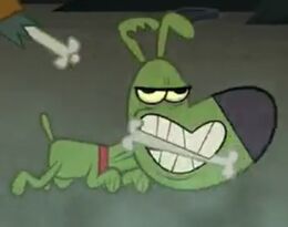 Dog Nick
