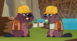 Beavers