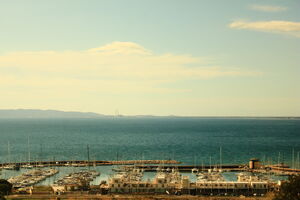 IMG 1290.jpg