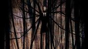 Slenderhouse.jpeg