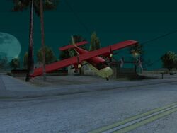 Beagle (SA - 2).jpg