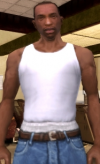 100px-CarlJohnson-GTASA.png
