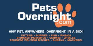 Petsovernight.jpg