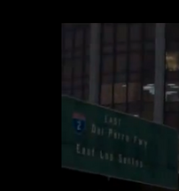 Perro 2.png