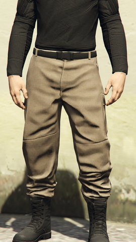 File:FreemodeMale-CargoPantsHidden8-GTAO.png