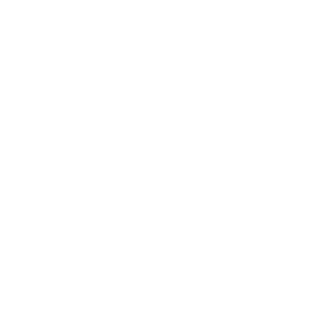 File:FakeDixWhiteLogo.png