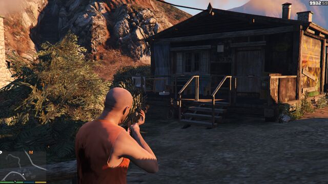 File:AltruistCamp-GTAV-Briefcase-3.jpg